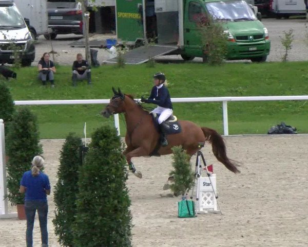 Reitturnier Bülach 2022
