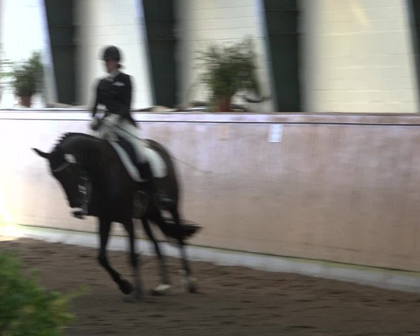Reitturnier Hamburg-Bergstedt 2022