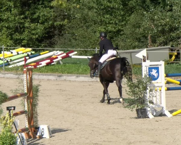 Reitturnier Maienfeld 2022
