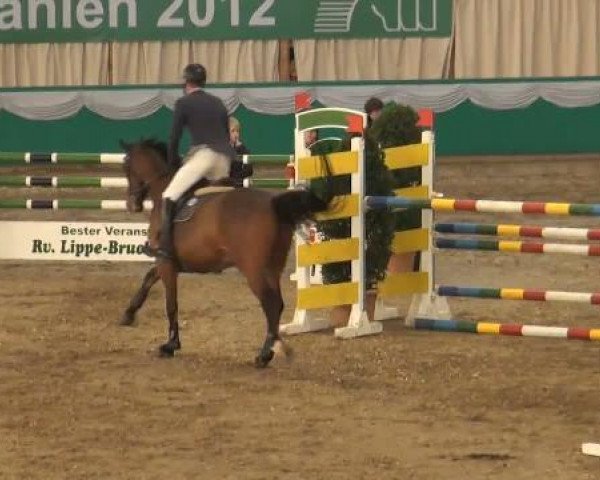 jumper Caillou 14 (Rhinelander, 2005, from Cashman)