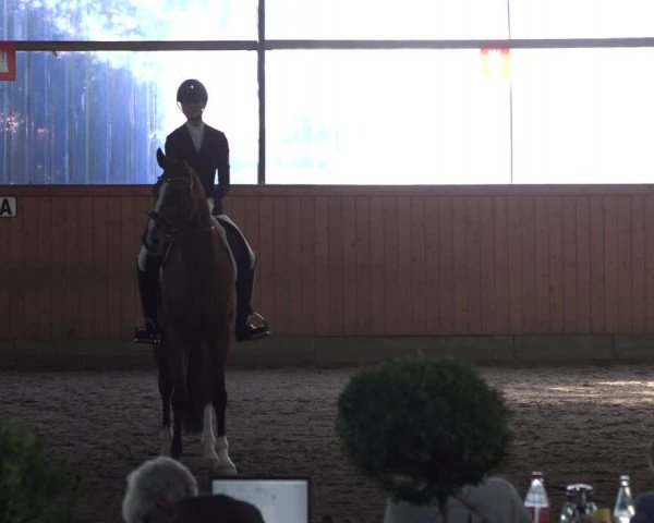 Reitturnier Hamburg-Bergstedt 2022