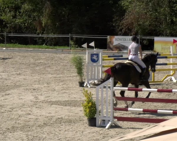 Reitturnier Maienfeld 2022