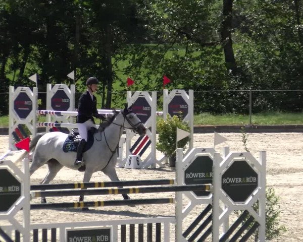 Reitturnier Maienfeld 2022