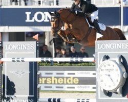 jumper Oh My Star van Strytem (Belgian Warmblood, 2014, from Zazu)