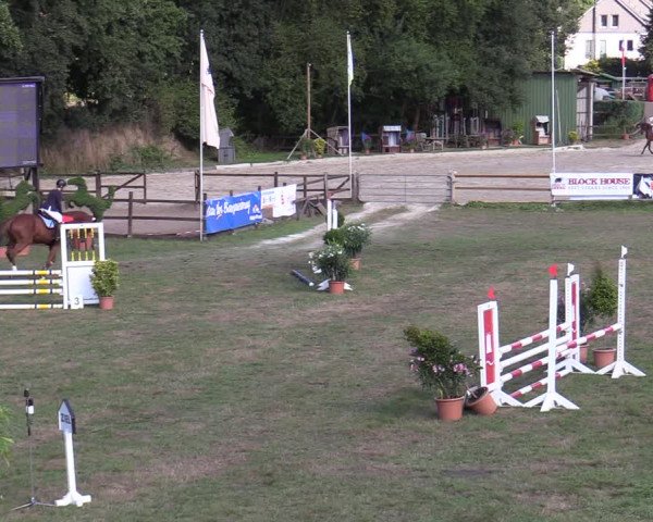 Reitturnier Hamburg-Bergstedt 2022