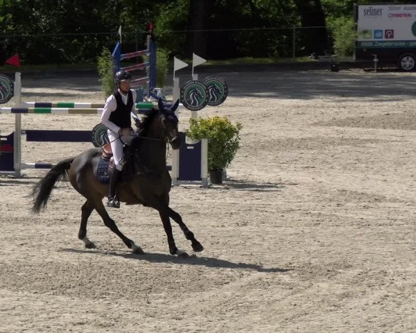 Reitturnier Maienfeld 2022