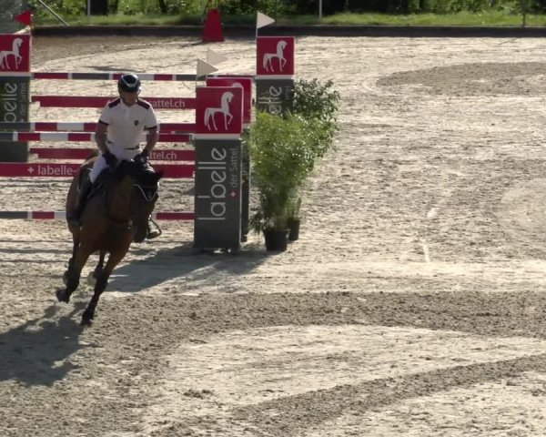 Reitturnier Maienfeld 2022