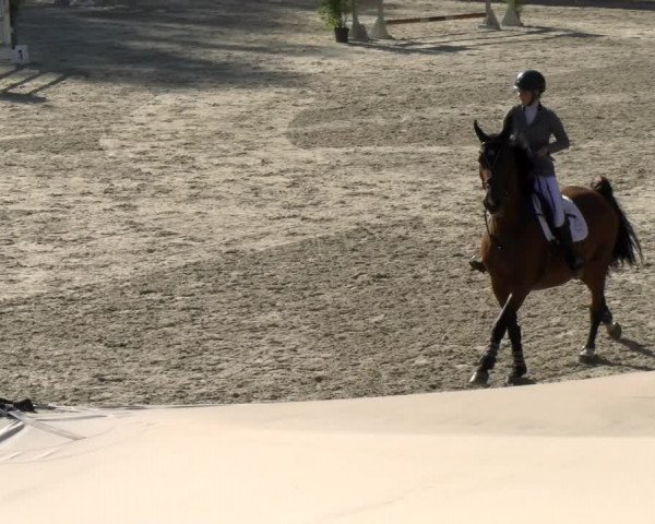 Reitturnier Maienfeld 2022