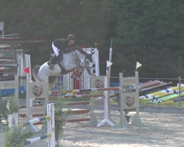 Reitturnier Maienfeld 2022