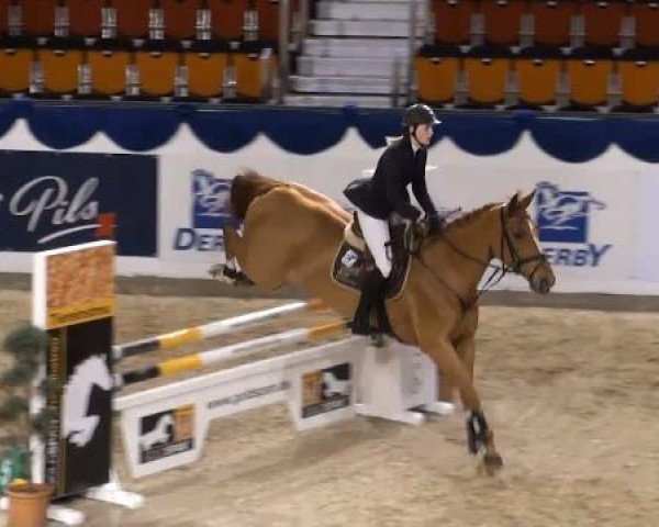 dressage horse Wei-Ming (Hanoverian, 2003, from Weissenburg)