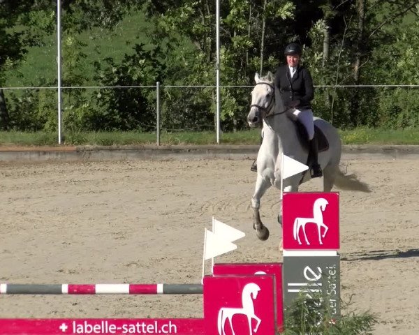 Reitturnier Maienfeld 2022