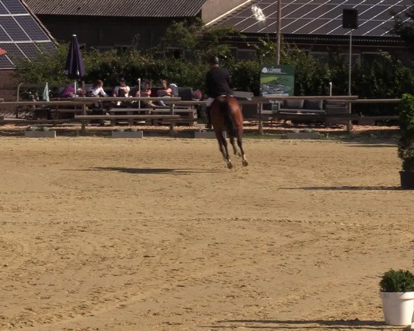 Reitturnier Vlotho-Valdorf 2022