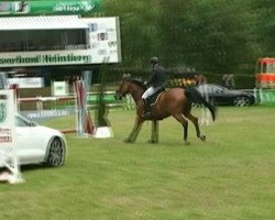 jumper Gladiator 43 (Rhinelander, 2000, from Gratianus)