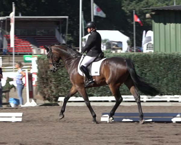 Reitturnier Hamburg-Bergstedt 2022