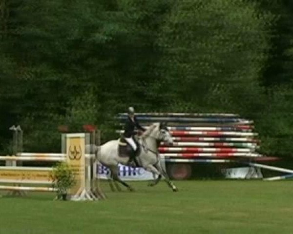dressage horse Fantus 20 (German Warmblood, 2001, from Flaneur)
