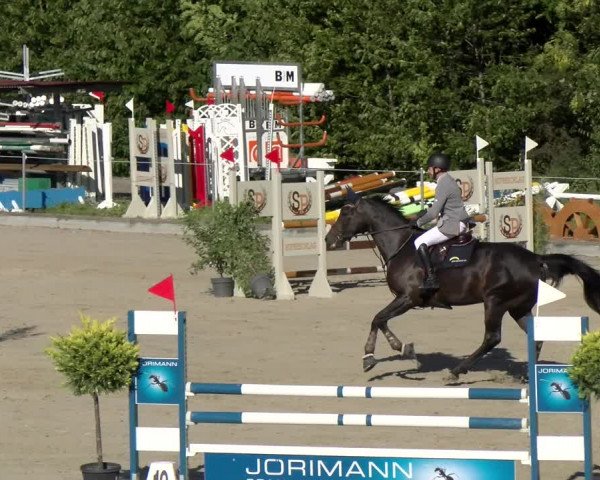 Reitturnier Maienfeld 2022