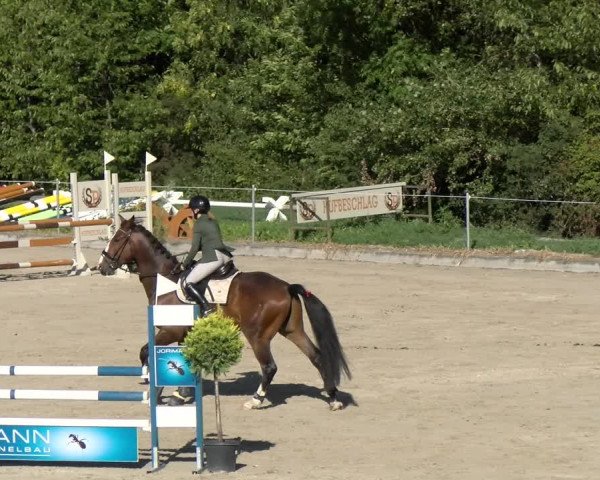 Reitturnier Maienfeld 2022