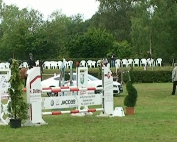 Springpferd Leroy 152 (Holsteiner, 2004, von Loran)