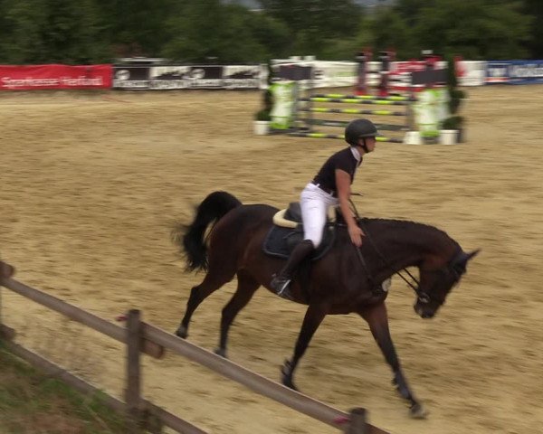 Reitturnier Vlotho-Valdorf 2022