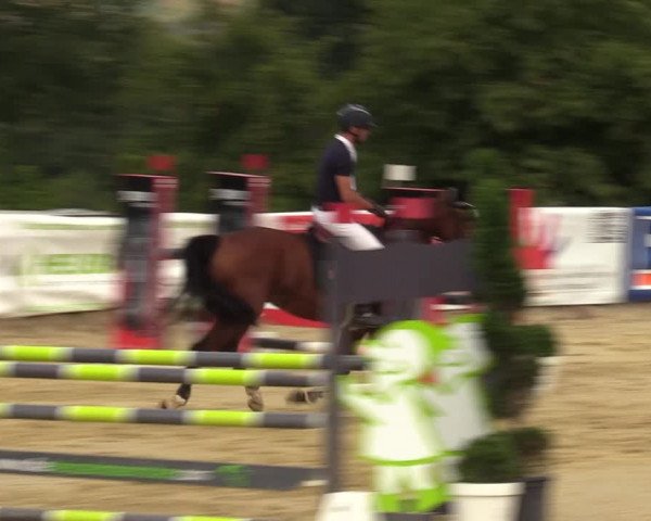 Reitturnier Vlotho-Valdorf 2022