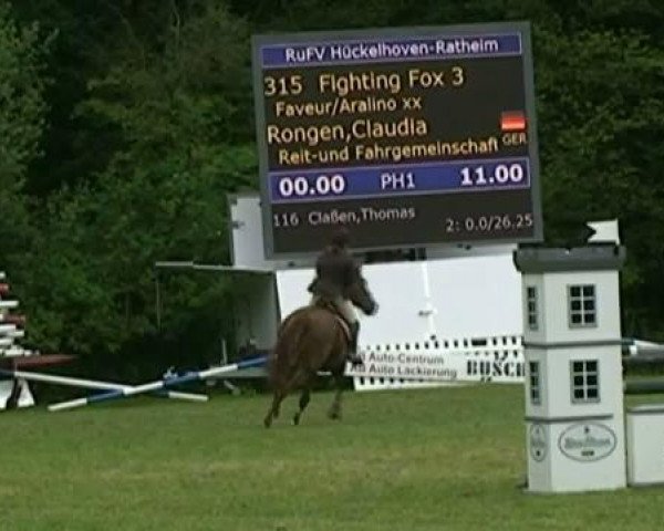 jumper Fighting Fox 3 (Rhinelander, 1998, from Faveur)