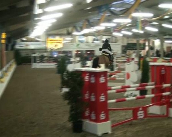 broodmare Oceane du Theillet (Selle Français, 2002, from Easy Boy)