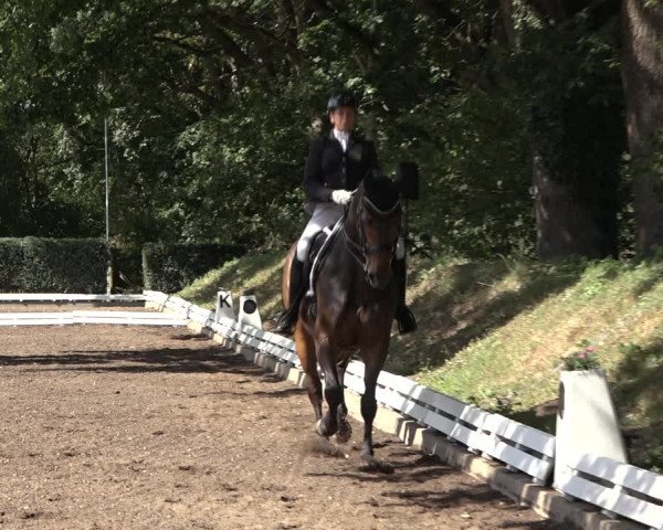 Reitturnier Hamburg-Bergstedt 2022