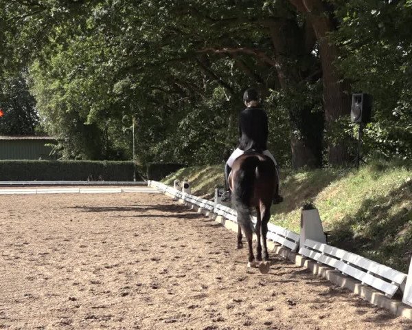 Reitturnier Hamburg-Bergstedt 2022