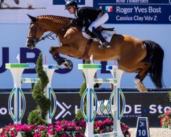 jumper Eldorado Wp Z (Zangersheide riding horse, 2012, from Eldorado van de Zeshoek)