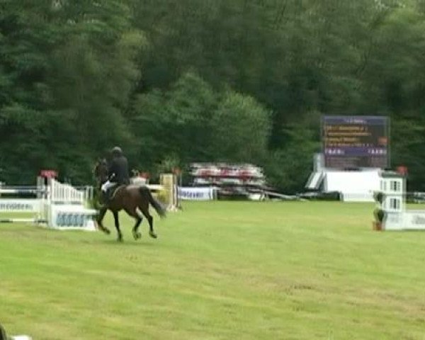 horse Geromino 2 (Rhinelander, 1993, from Gouverneur)