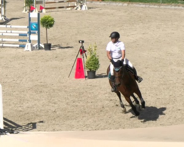 Reitturnier Maienfeld 2022