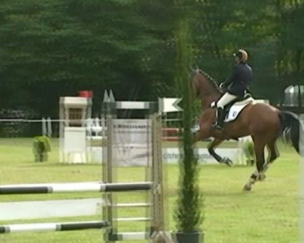 Springpferd Winston (KWPN (Niederländisches Warmblut), 2003, von Great Pleasure)