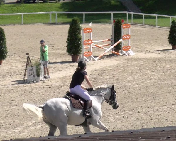 Reitturnier Bülach 2022