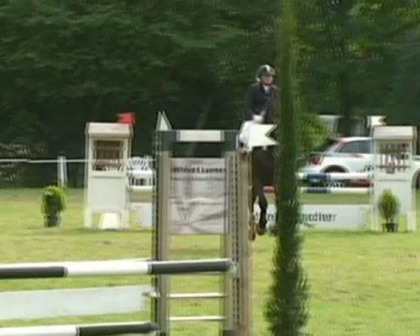 Pferd Random 7 (Hannoveraner, 2000, von Rotspon)