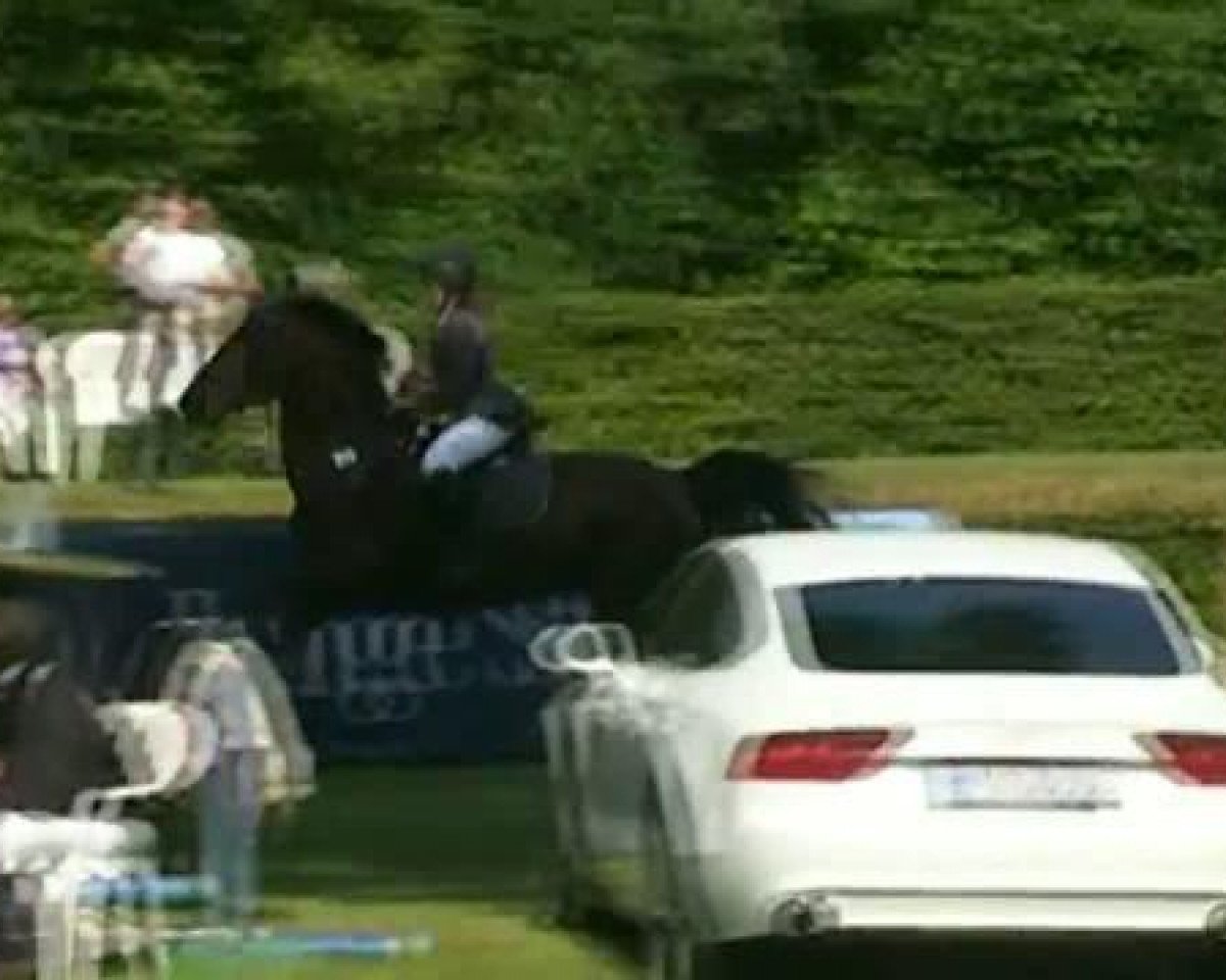 Avlshoppe Vallee (KWPN (hollandsk varmblod), 2003, fra Manno) - Pfingstturnier 2011 RufV-Ratheim 
Sonntag,den 12.05.2011
20 Springprüfung Kl.A** 
