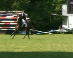 broodmare Sally 641 (Rhinelander, 2002, from Show Star)