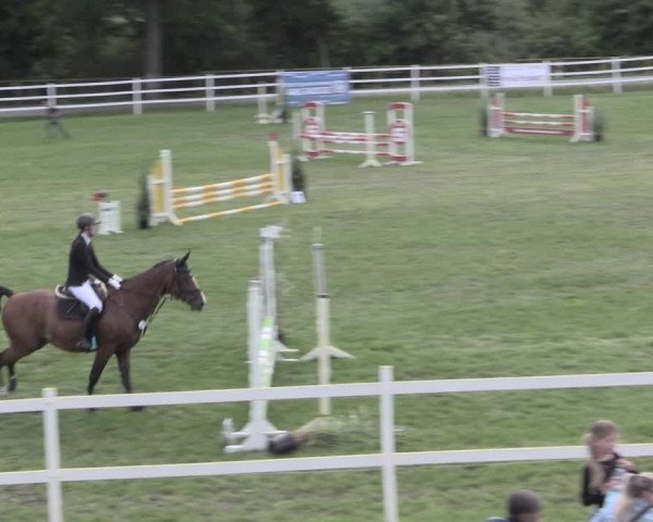 Reitturnier Müncheberg 2022