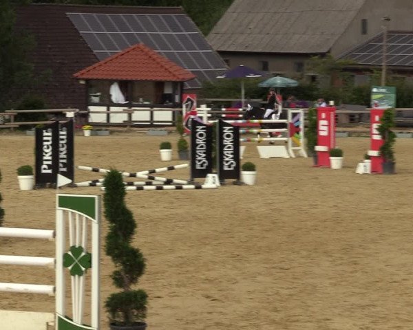 Reitturnier Vlotho-Valdorf 2022