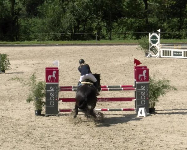 Reitturnier Maienfeld 2022