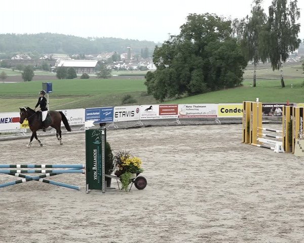Reitturnier Humlikon 2022