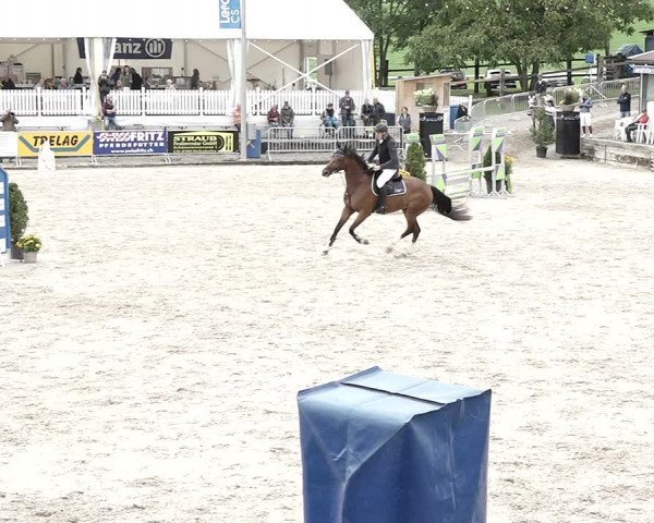 Reitturnier Humlikon 2022