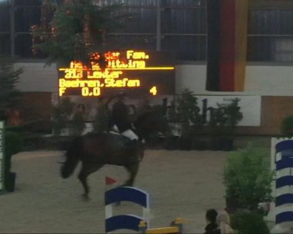 Pferd Lexter 12 (Rheinländer, 2000)