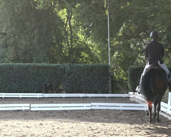 Reitturnier Hamburg-Bergstedt 2022