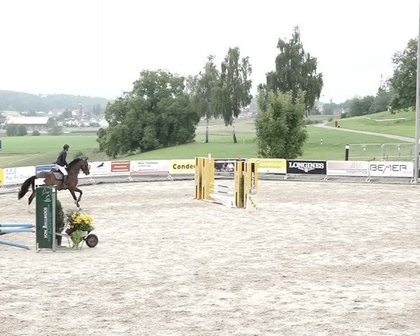 Reitturnier Humlikon 2022