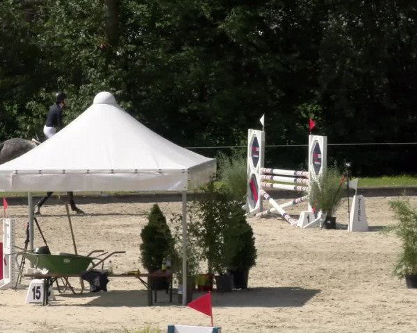 Reitturnier Maienfeld 2022