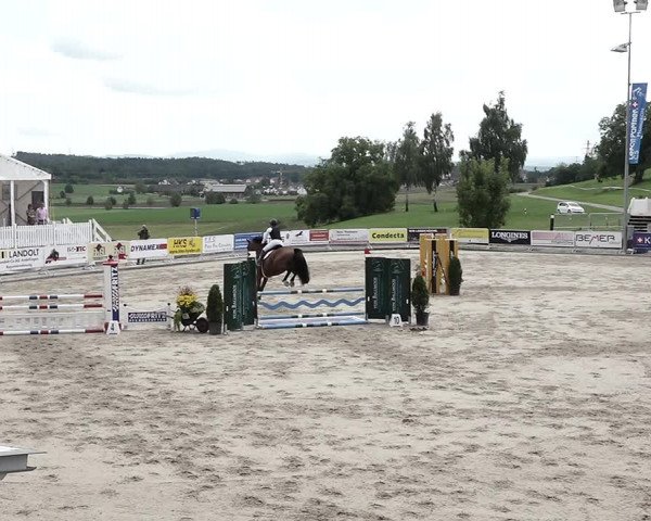 Reitturnier Humlikon 2022