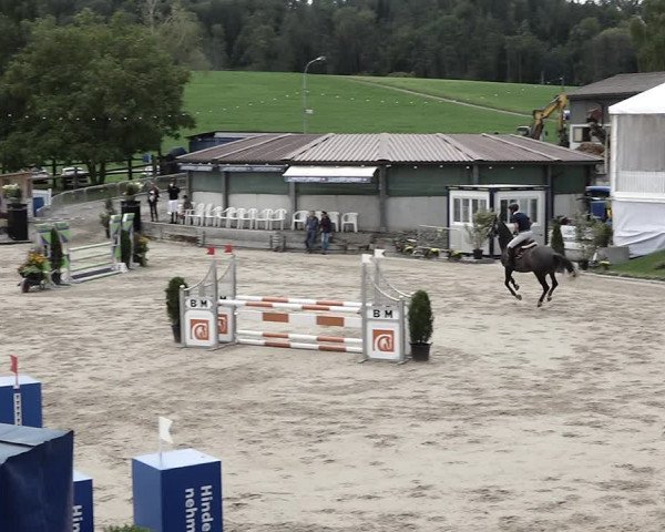 Reitturnier Humlikon 2022