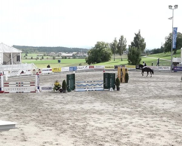 Reitturnier Humlikon 2022