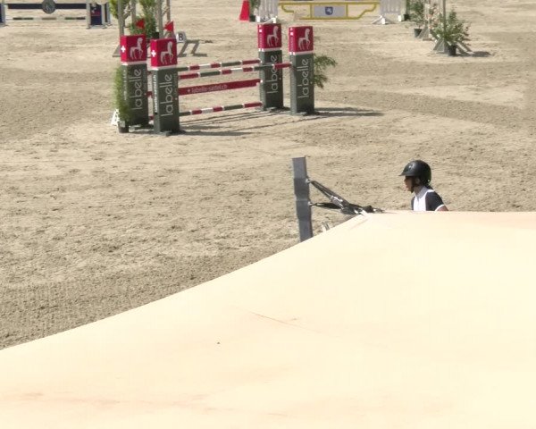Reitturnier Maienfeld 2022