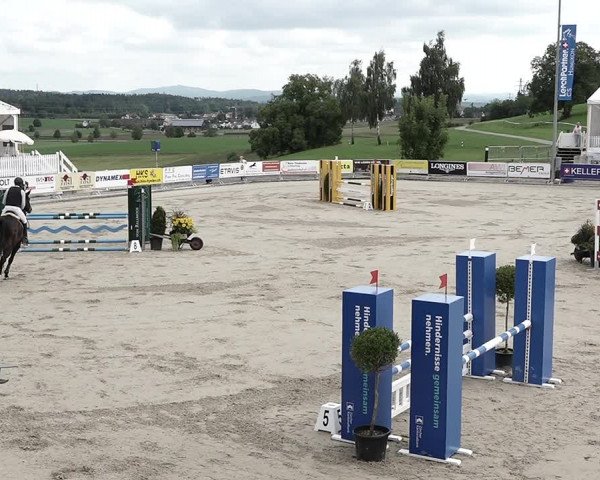 Reitturnier Humlikon 2022